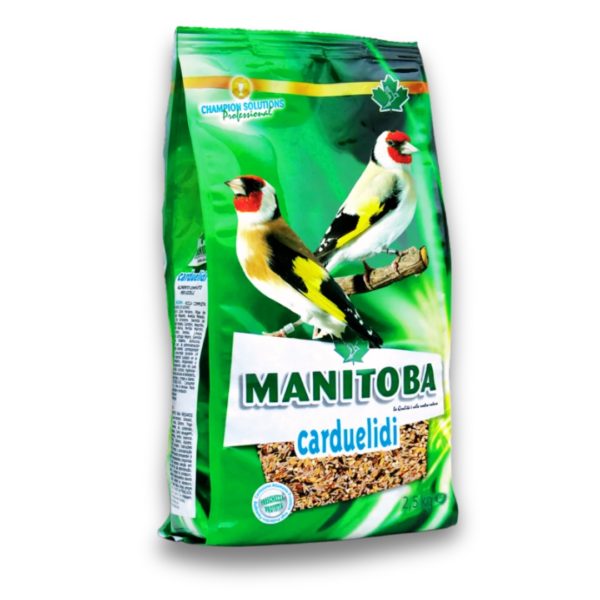 MANITOBA CARDUELIDI