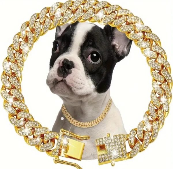 GOLD DIAMOND CUBAN LINK DOG COLLAR – 10 INCH