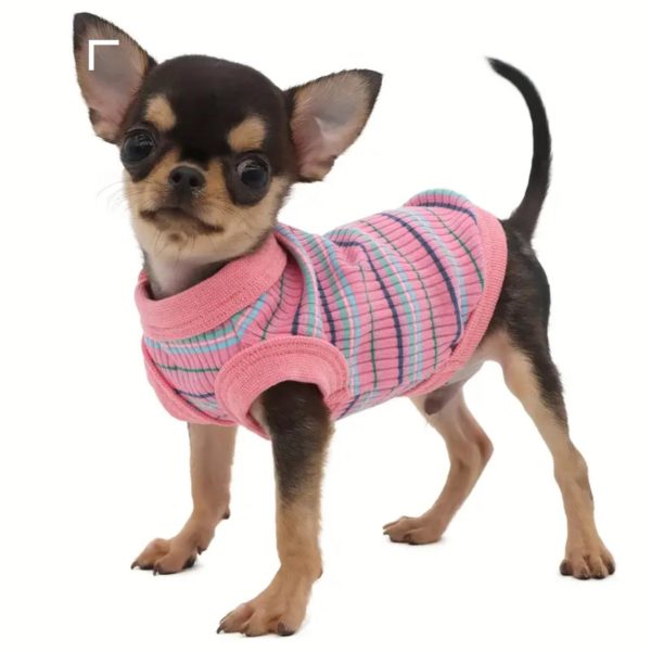 LOPHIPETS PINK COTTON DOG SHIRT – XXS FOR SMALL BREEDS