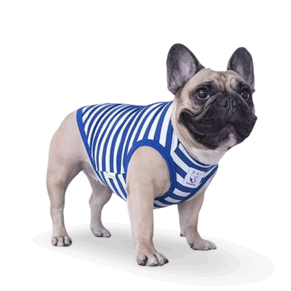 ICHOUE STRIPED DOG T SHIRTS CLOTHING FOR MEDIUM SIZE