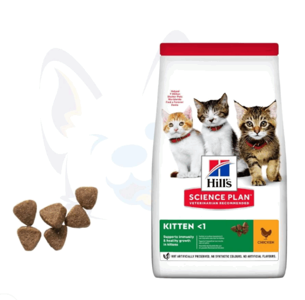 Croquettes Hill’s Science Plan Kitten Chaton Chicken